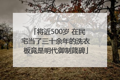 将近500岁 在民宅当了三十余年的洗衣板竟是明代御制箴碑