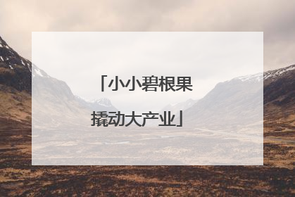 小小碧根果撬动大产业