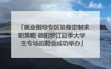 就业指导专区量身定制求职策略 德阳罗江夏季大学生专场招聘会成功举办