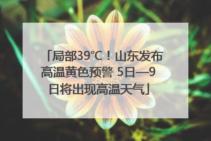 局部39℃！山东发布高温黄色预警 5日—9日将出现高温天气