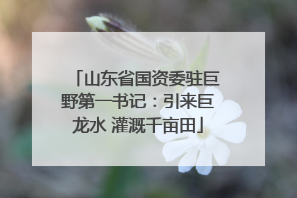 山东省国资委驻巨野第一书记：引来巨龙水 灌溉千亩田