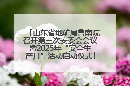 山东省地矿局鲁南院召开第三次安委会会议暨2025年“安全生产月”活动启动仪式