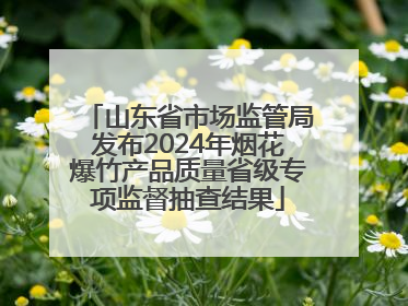 山东省市场监管局发布2024年烟花爆竹产品质量省级专项监督抽查结果