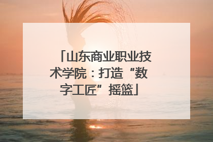 山东商业职业技术学院：打造“数字工匠”摇篮