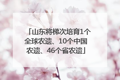 山东将梯次培育1个全球农遗、10个中国农遗、46个省农遗