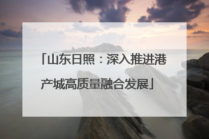 山东日照：深入推进港产城高质量融合发展