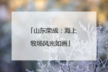山东荣成：海上牧场风光如画