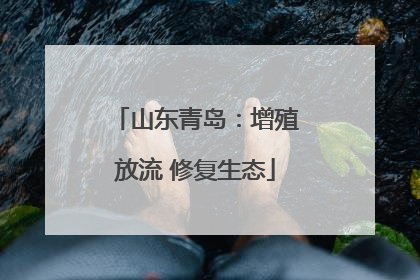 山东青岛：增殖放流 修复生态