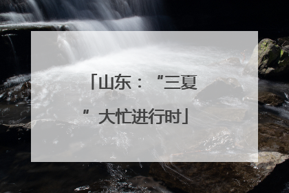 山东：“三夏”大忙进行时