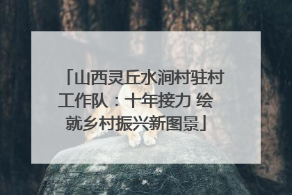 山西灵丘水涧村驻村工作队：十年接力 绘就乡村振兴新图景