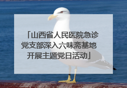 山西省人民医院急诊党支部深入六味斋基地开展主题党日活动