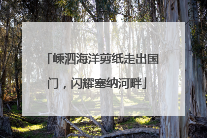 嵊泗海洋剪纸走出国门，闪耀塞纳河畔