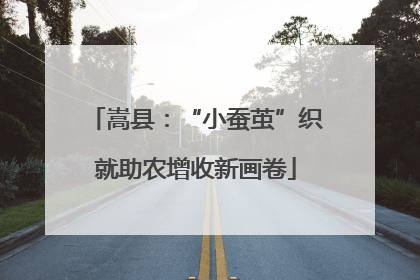 嵩县：“小蚕茧”织就助农增收新画卷
