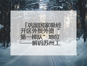 巩固国家级经开区外贸外资“第一梯队”地位——解码苏州工业园区样本