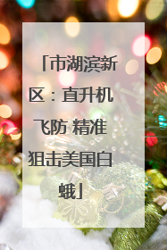 市湖滨新区：直升机飞防 精准狙击美国白蛾