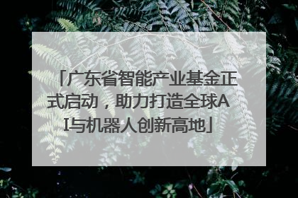 广东省智能产业基金正式启动，助力打造全球AI与机器人创新高地