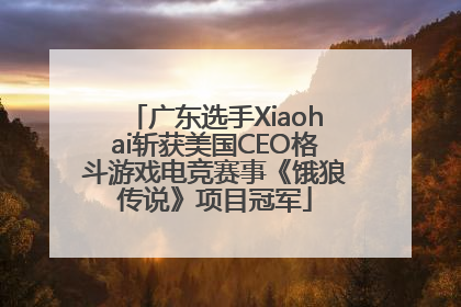 广东选手Xiaohai斩获美国CEO格斗游戏电竞赛事《饿狼传说》项目冠军