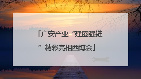 广安产业“建圈强链”精彩亮相西博会