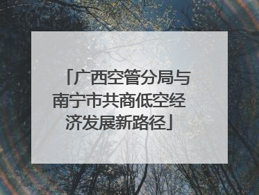 广西空管分局与南宁市共商低空经济发展新路径