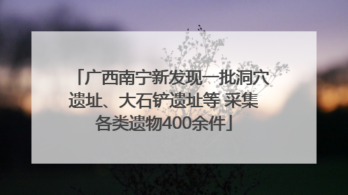 广西南宁新发现一批洞穴遗址、大石铲遗址等 采集各类遗物400余件
