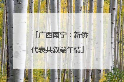 广西南宁：新侨代表共叙端午情
