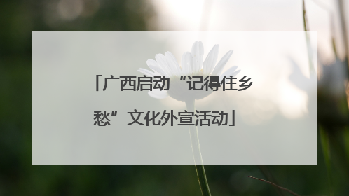 广西启动“记得住乡愁”文化外宣活动
