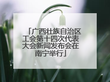 广西壮族自治区工会第十四次代表大会新闻发布会在南宁举行