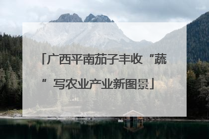 广西平南茄子丰收“蔬”写农业产业新图景