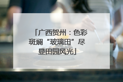 广西贺州：色彩斑斓“玻璃田”尽显田园风光