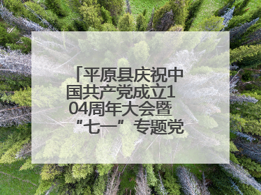 平原县庆祝中国共产党成立104周年大会暨“七一”专题党课报告会召开