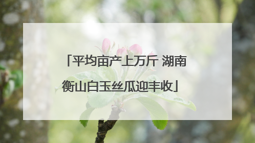 平均亩产上万斤 湖南衡山白玉丝瓜迎丰收