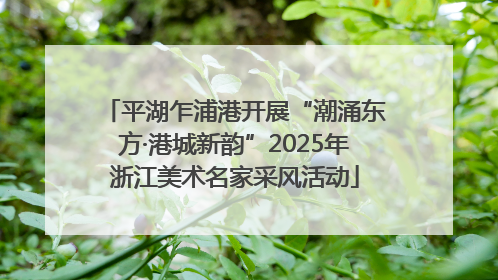 平湖乍浦港开展“潮涌东方·港城新韵”2025年浙江美术名家采风活动