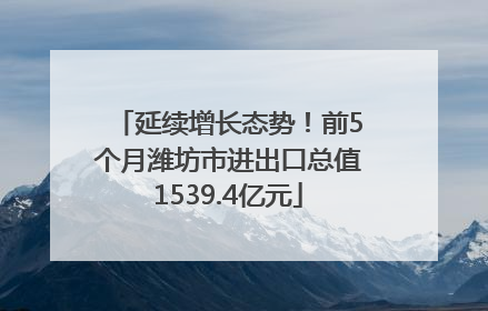 延续增长态势！前5个月潍坊市进出口总值1539.4亿元