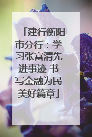 建行衡阳市分行：学习张富清先进事迹 书写金融为民美好篇章