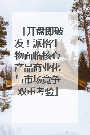 开盘即破发！派格生物面临核心产品商业化与市场竞争双重考验