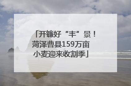 开镰好“丰”景！菏泽曹县159万亩小麦迎来收割季