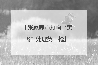张家界市打响“黑飞”处理第一枪