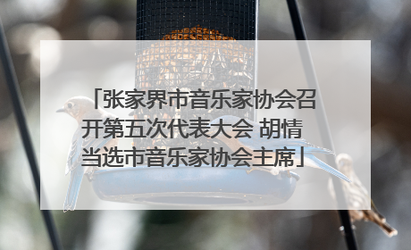 张家界市音乐家协会召开第五次代表大会 胡情当选市音乐家协会主席