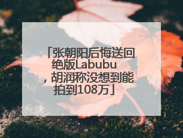 张朝阳后悔送回绝版Labubu，胡润称没想到能拍到108万