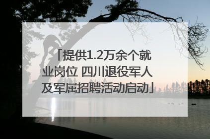 提供1.2万余个就业岗位 四川退役军人及军属招聘活动启动