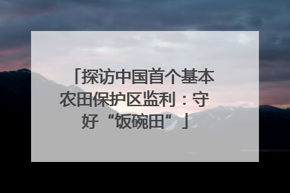 探访中国首个基本农田保护区监利：守好“饭碗田”
