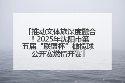 推动文体旅深度融合！2025年沈阳市第五届“联盟杯”橄榄球公开赛燃情开赛