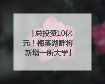 总投资10亿元！梅溪湖畔将新增一所大学