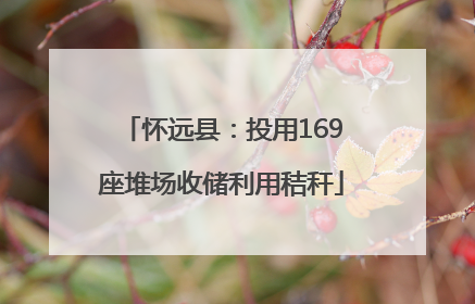 怀远县：投用169座堆场收储利用秸秆