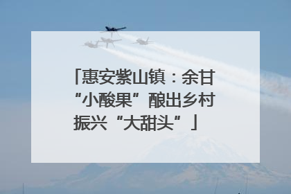 惠安紫山镇：余甘“小酸果”酿出乡村振兴“大甜头”