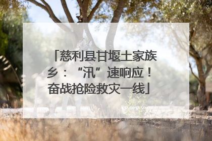 慈利县甘堰土家族乡：“汛”速响应！奋战抢险救灾一线