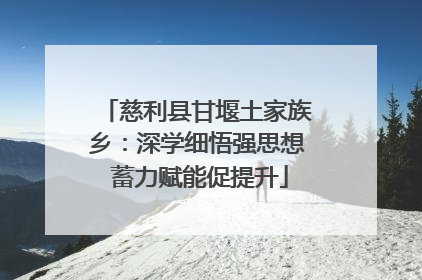 慈利县甘堰土家族乡：深学细悟强思想 蓄力赋能促提升