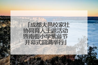 成都大邑校家社协同育人主题活动暨南街小学紫藤节开幕式圆满举行