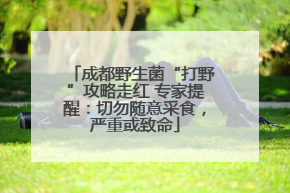成都野生菌“打野”攻略走红 专家提醒：切勿随意采食，严重或致命