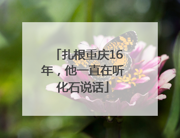 扎根重庆16年，他一直在听化石说话